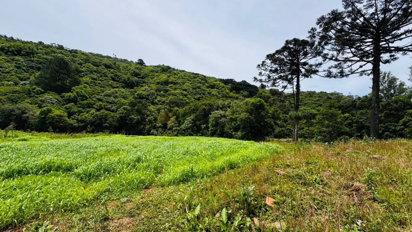 Sítio / Chácara para Venda no bairro Serra Grande em Igrejinha