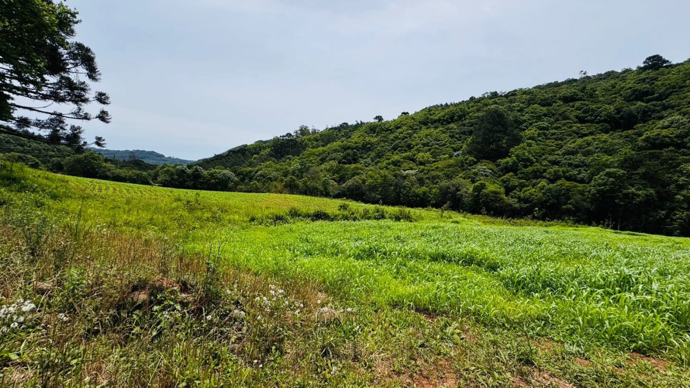 Sítio / Chácara para Venda no bairro Serra Grande em Igrejinha