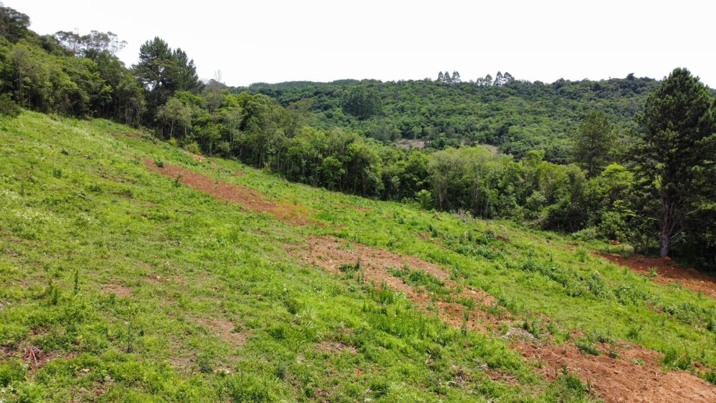 Sítio / Chácara para Venda no bairro Serra Grande em Igrejinha