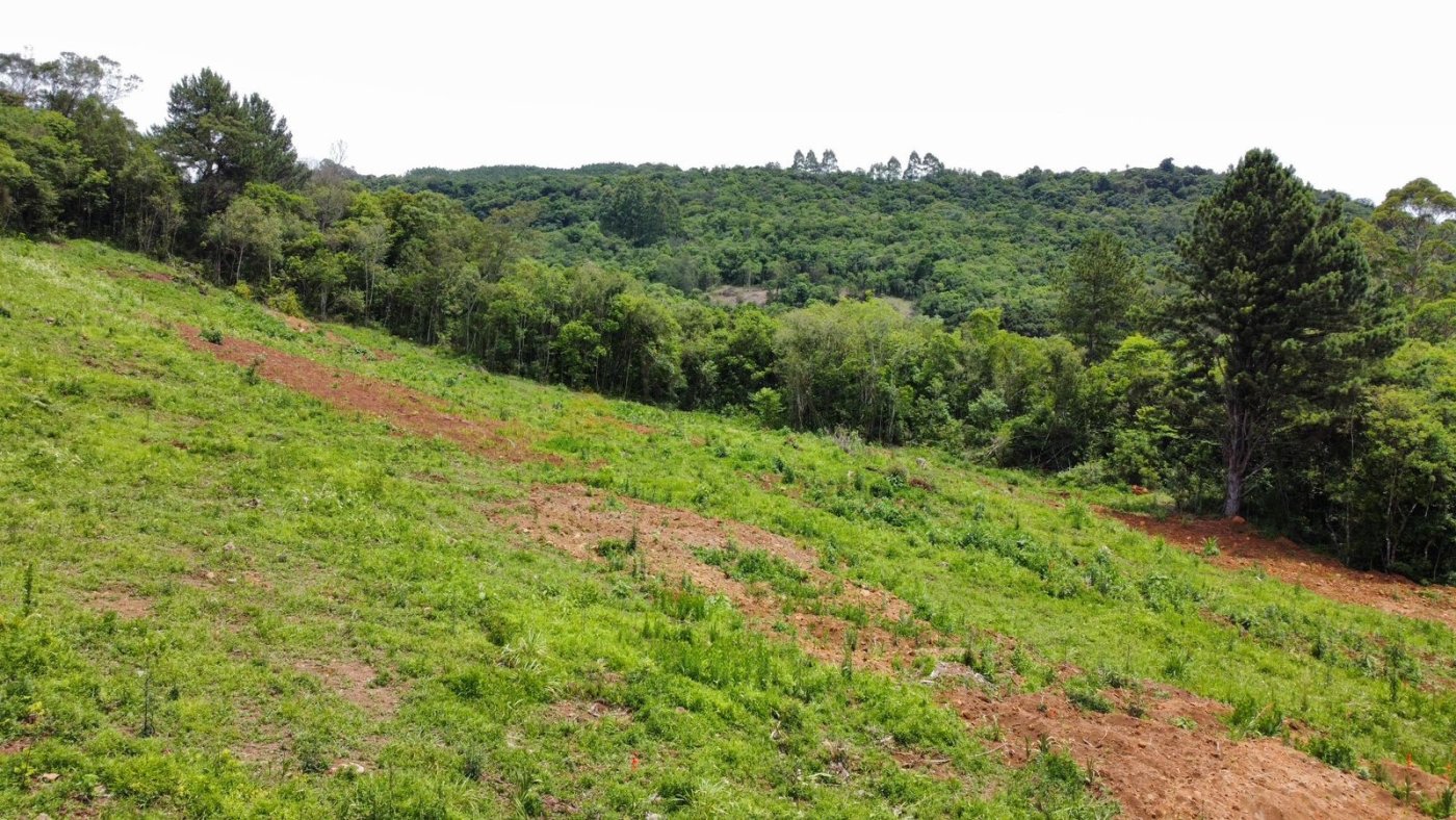 Sítio / Chácara para Venda no bairro Serra Grande em Igrejinha
