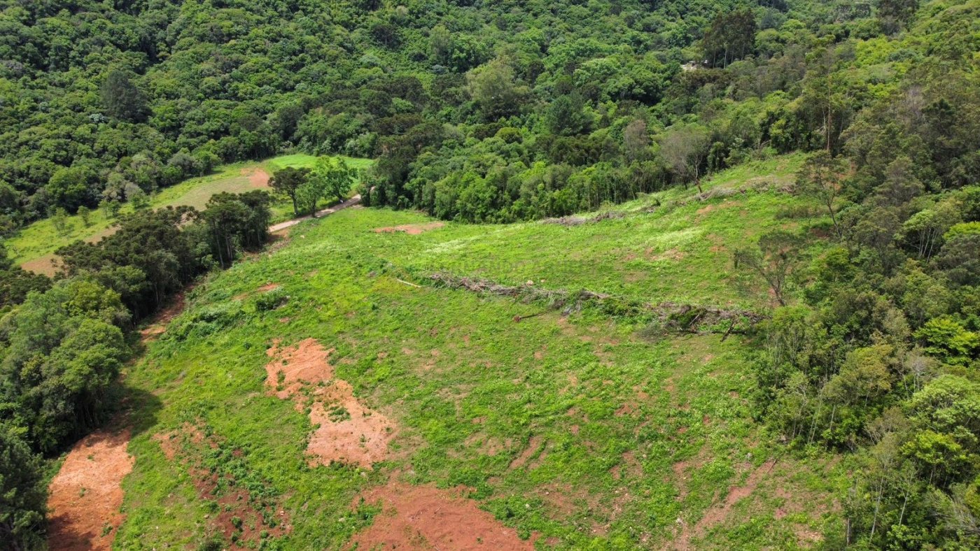 Sítio / Chácara para Venda no bairro Serra Grande em Igrejinha