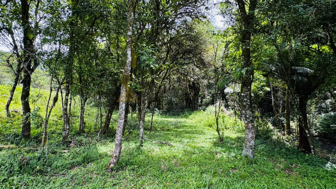 Sítio / Chácara para Venda no bairro Serra Grande em Igrejinha