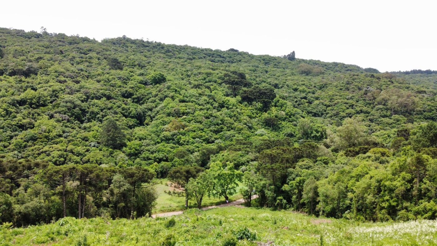 Sítio / Chácara para Venda no bairro Serra Grande em Igrejinha