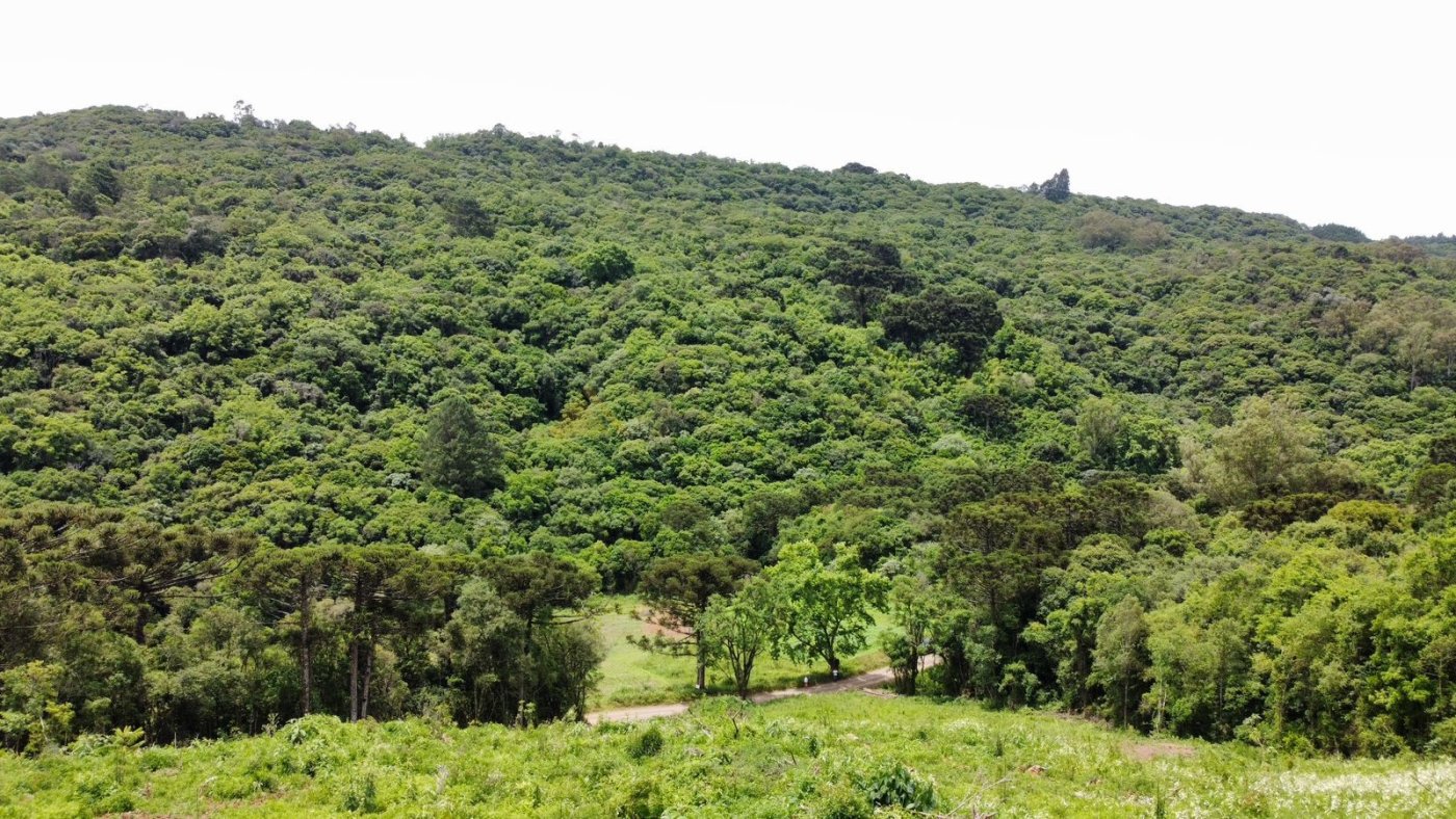 Sítio / Chácara para Venda no bairro Serra Grande em Igrejinha