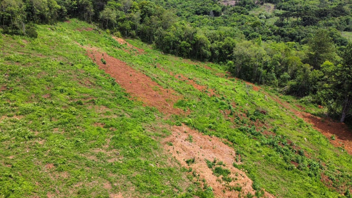 Sítio / Chácara para Venda no bairro Serra Grande em Igrejinha