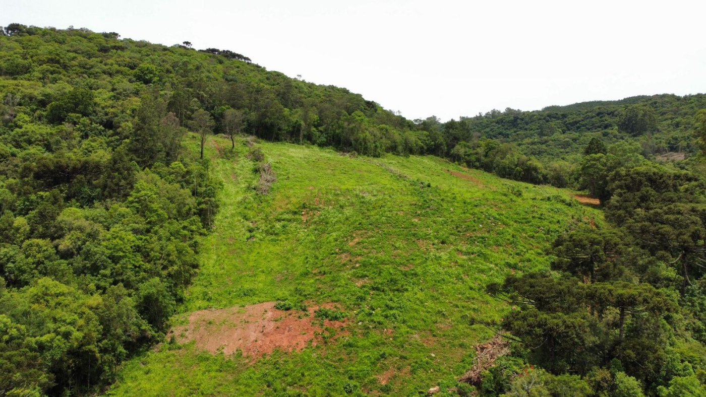 Sítio / Chácara para Venda no bairro Serra Grande em Igrejinha