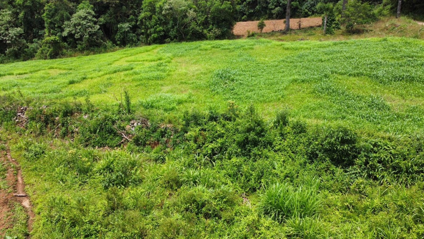 Sítio / Chácara para Venda no bairro Serra Grande em Igrejinha