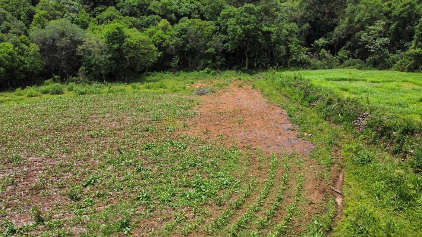 Sítio / Chácara para Venda no bairro Serra Grande em Igrejinha