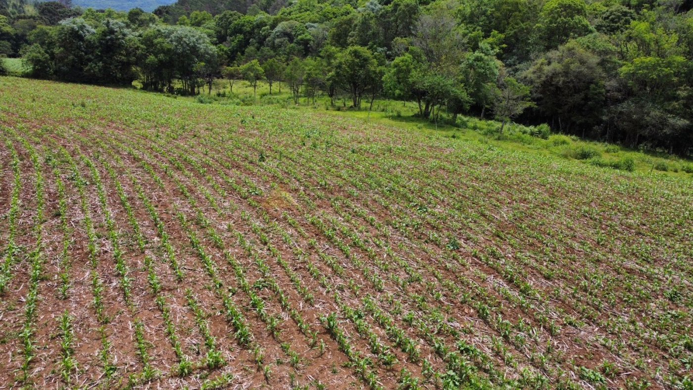 Sítio / Chácara para Venda no bairro Serra Grande em Igrejinha