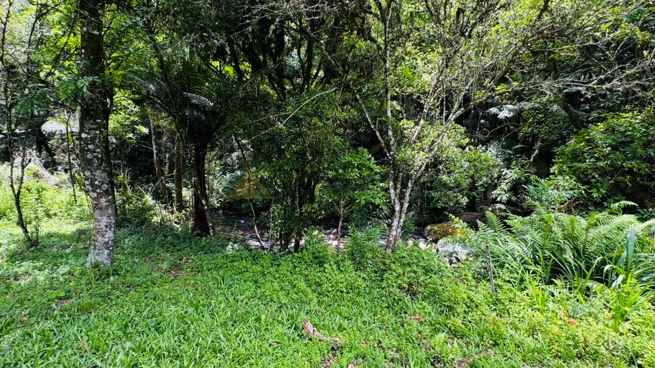 Sítio / Chácara para Venda no bairro Serra Grande em Igrejinha