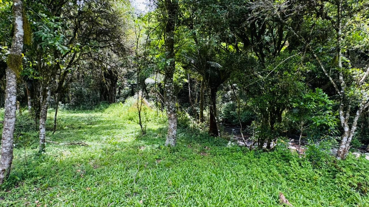 Sítio / Chácara para Venda no bairro Serra Grande em Igrejinha
