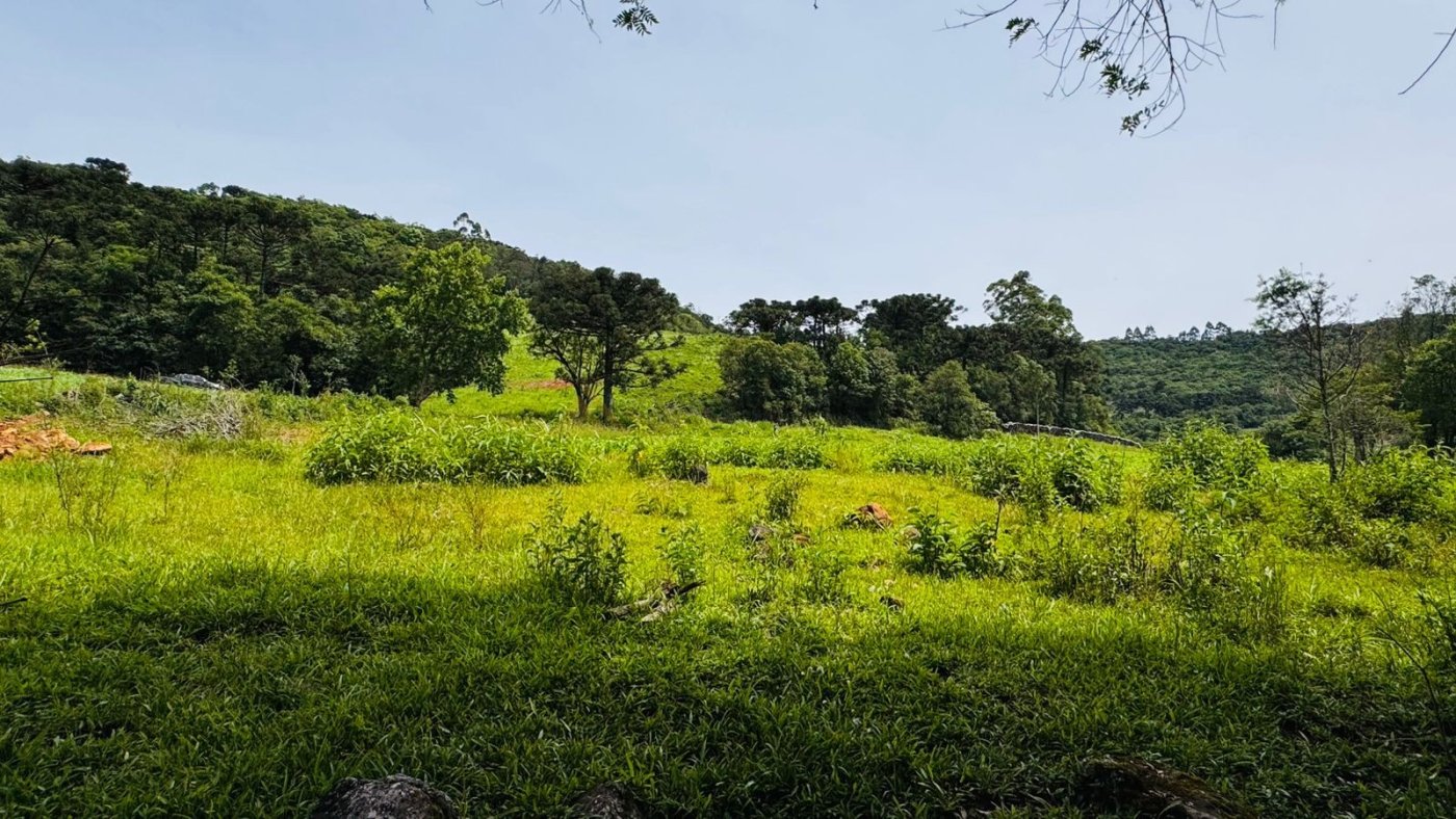 Sítio / Chácara para Venda no bairro Serra Grande em Igrejinha