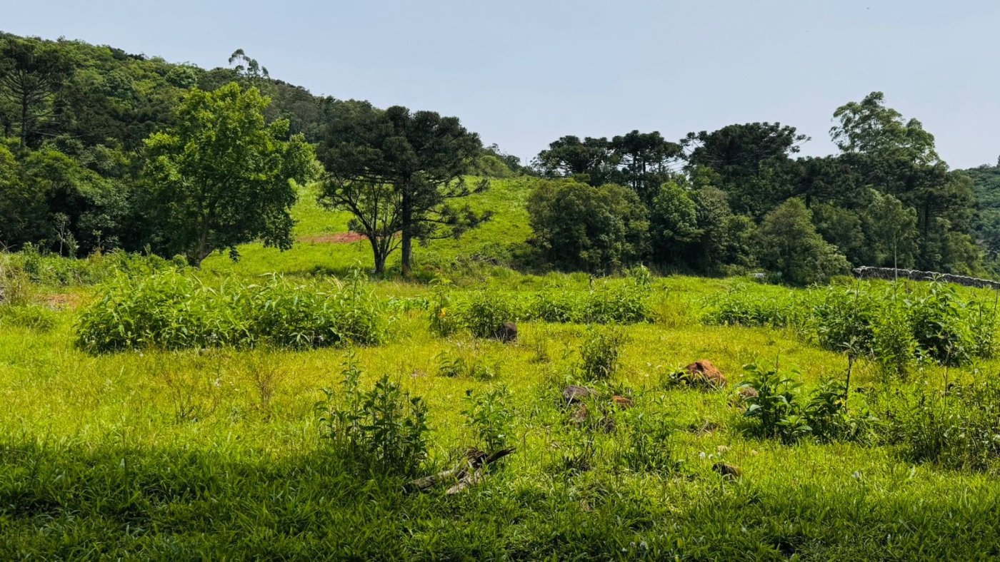 Sítio / Chácara para Venda no bairro Serra Grande em Igrejinha