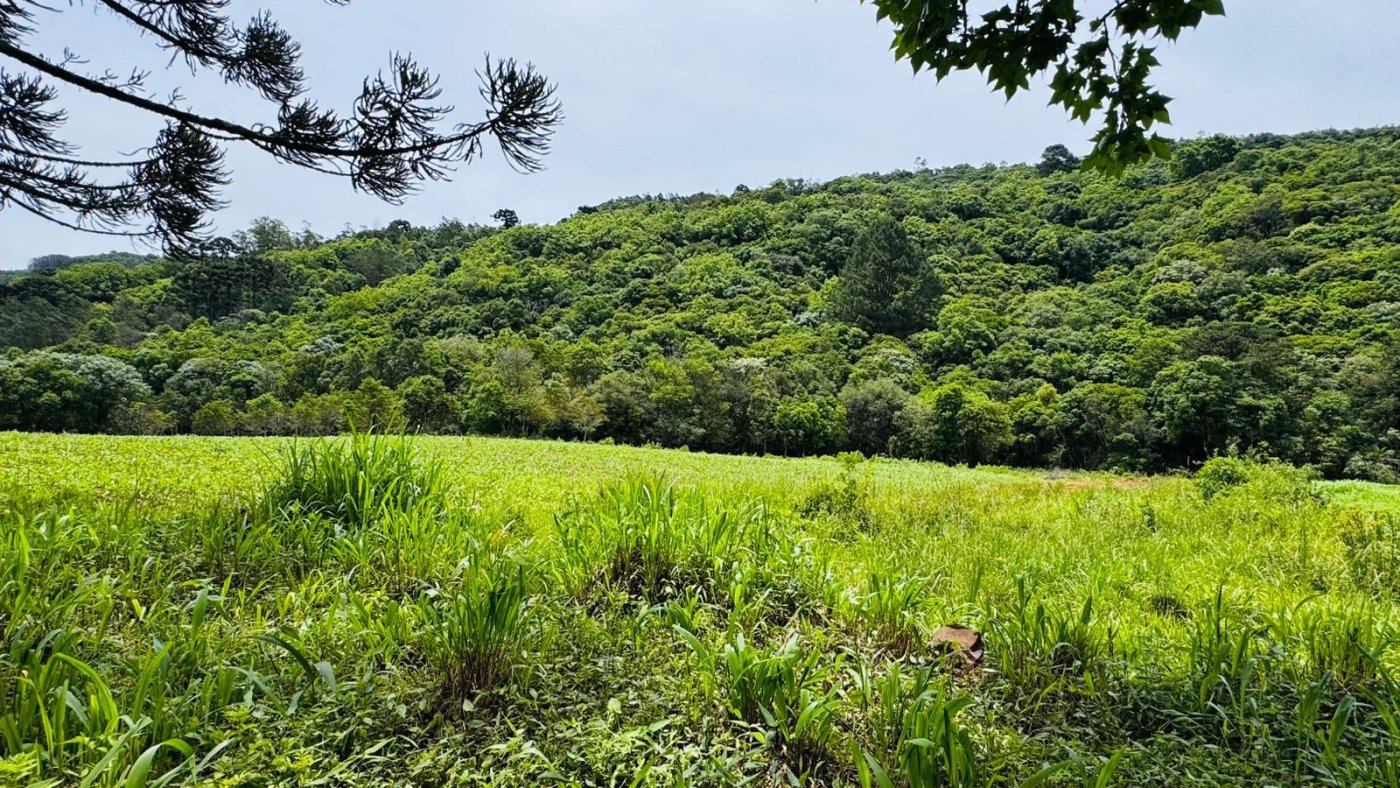 Sítio / Chácara para Venda no bairro Serra Grande em Igrejinha