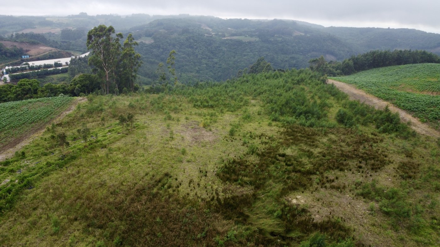 Sítio / Chácara para Venda no bairro Padre Eterno Ilges em Santa Maria do Herval