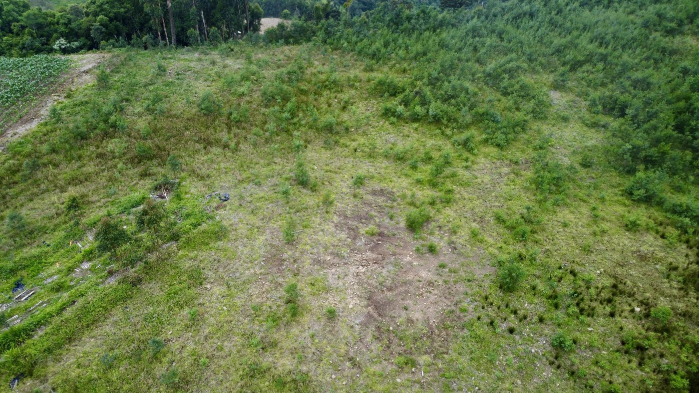 Sítio / Chácara para Venda no bairro Padre Eterno Ilges em Santa Maria do Herval