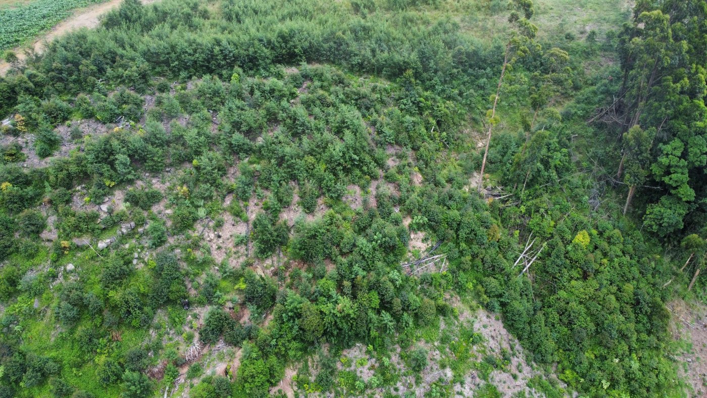 Sítio / Chácara para Venda no bairro Padre Eterno Ilges em Santa Maria do Herval