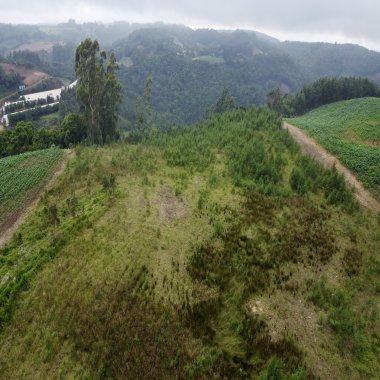 Sítio / Chácara para Venda no bairro Padre Eterno Ilges em Santa Maria do Herval