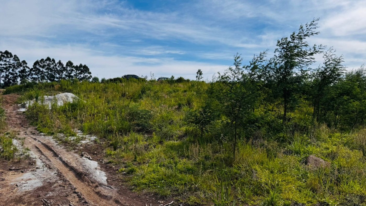 Sítio / Chácara para Venda no bairro Padre Eterno Ilges em Santa Maria do Herval