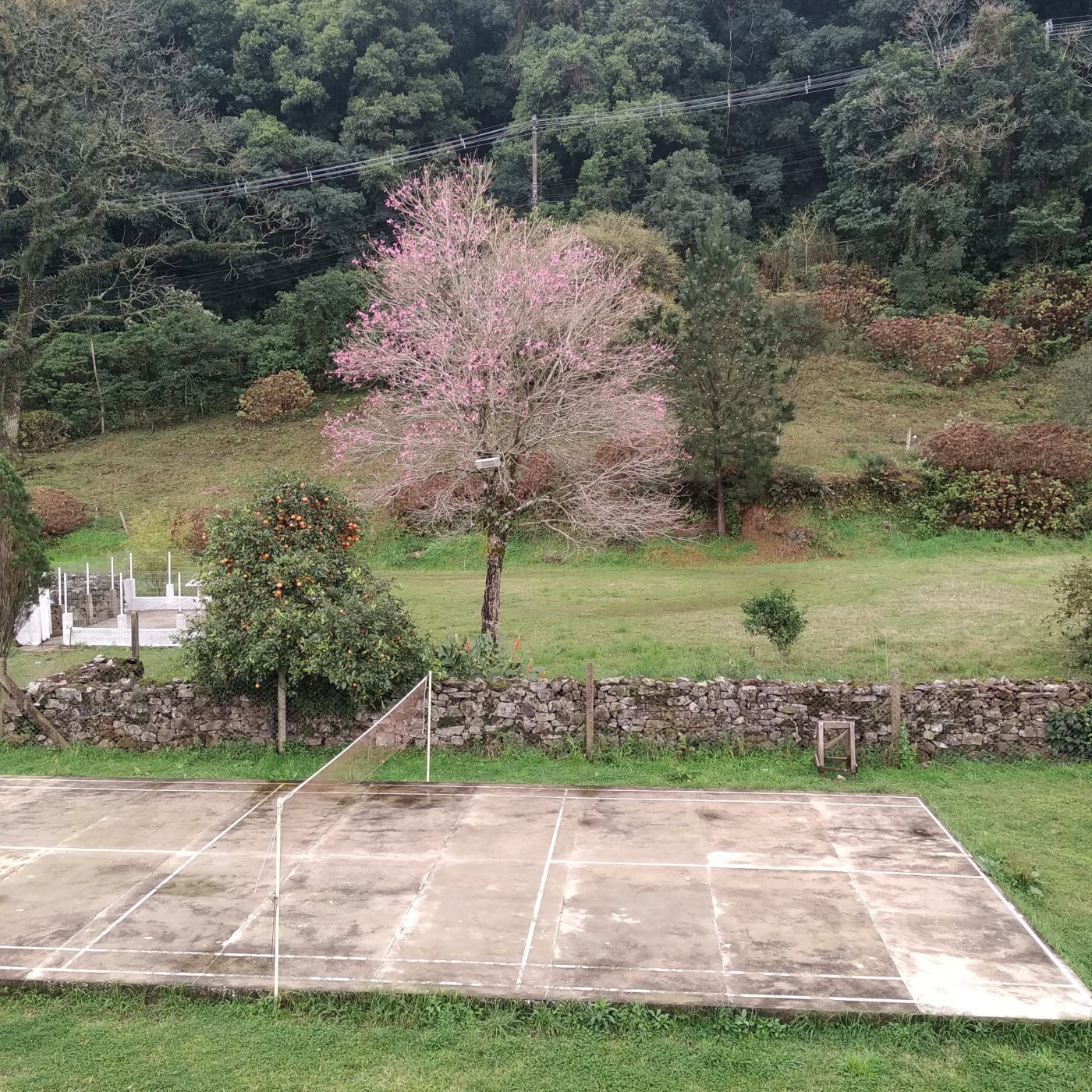 Sítio / Chácara 3 quartos para Venda no bairro Centro em Morro Reuter