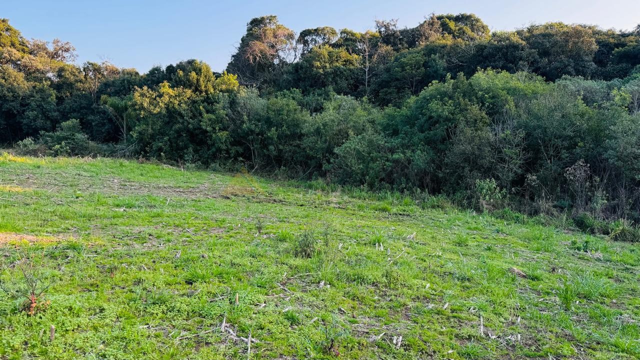 Sítio / Chácara para Venda no bairro Padre Eterno Ilges em Santa Maria do Herval