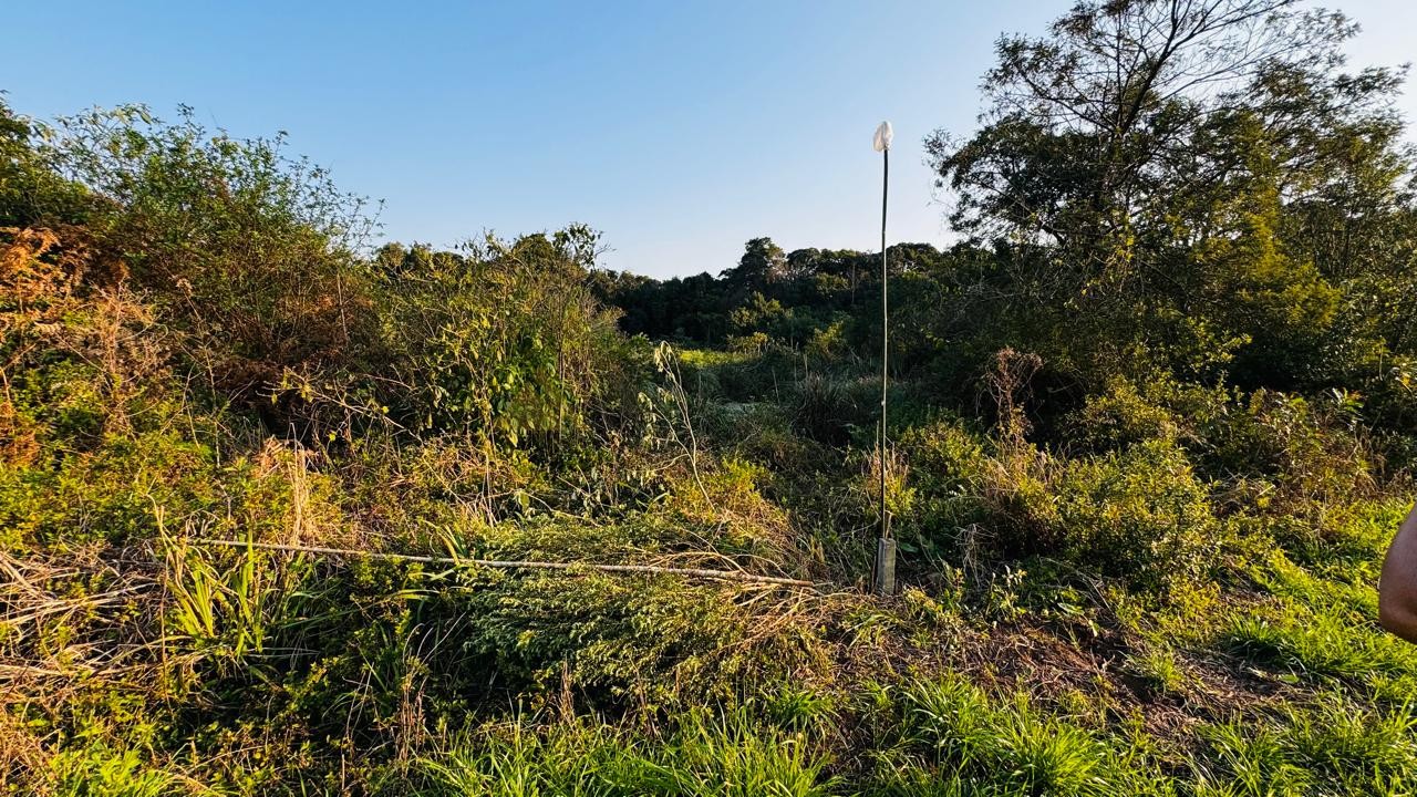 Sítio / Chácara para Venda no bairro Padre Eterno Ilges em Santa Maria do Herval