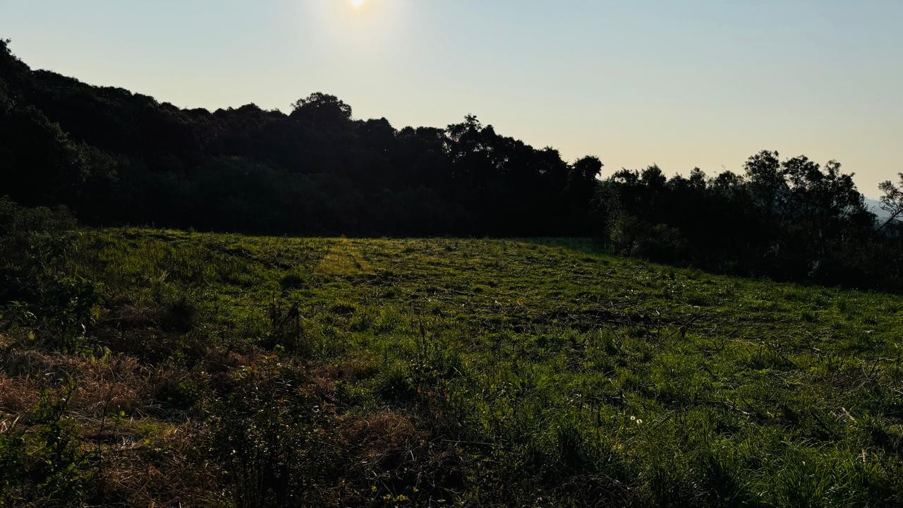 Sítio / Chácara para Venda no bairro Padre Eterno Ilges em Santa Maria do Herval