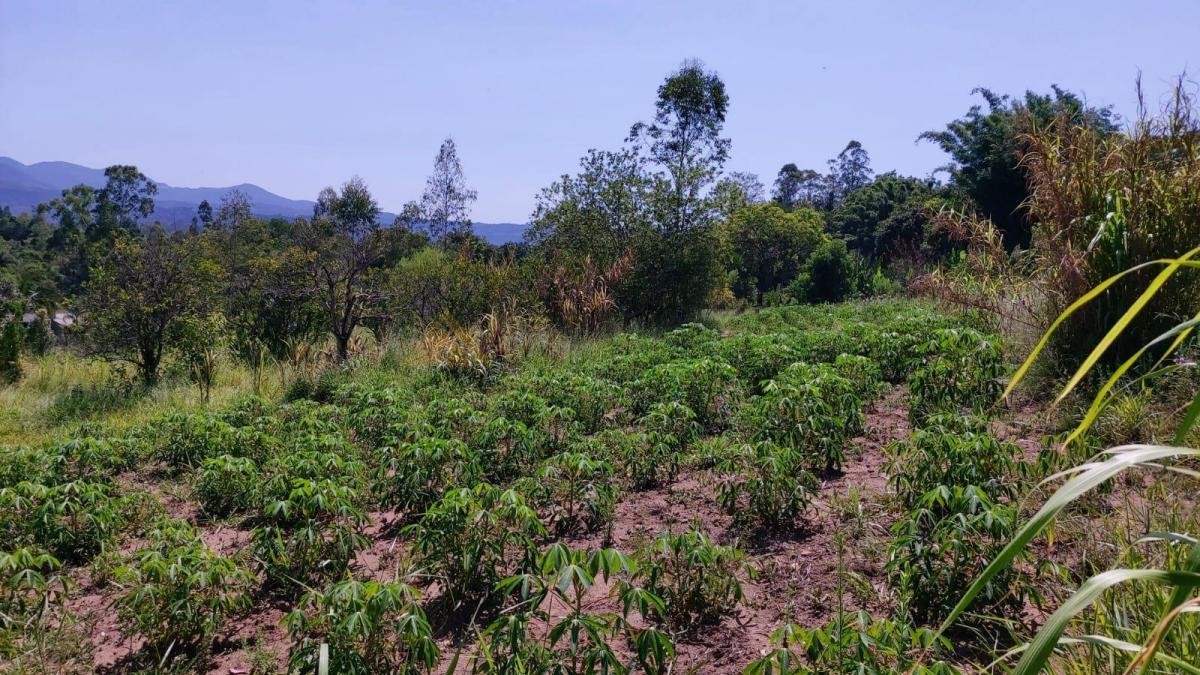 Sítio / Chácara para Venda no bairro Zona Rural em Araricá