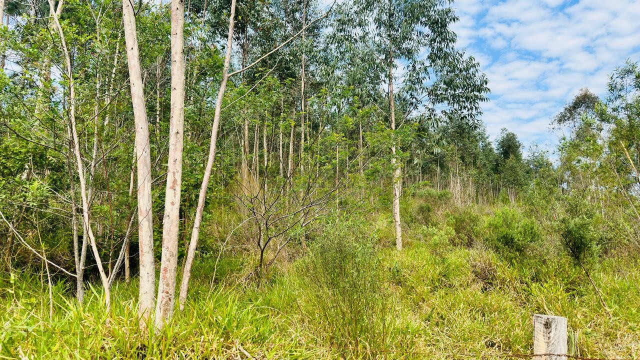 Sítio / Chácara para Venda no bairro Zona Rural em Araricá