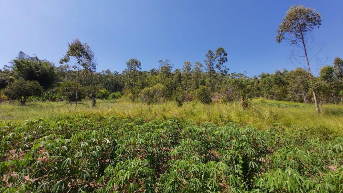 Sítio / Chácara para Venda no bairro Zona Rural em Araricá