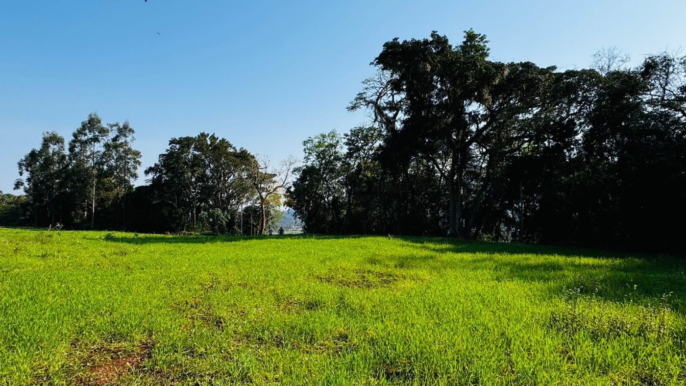 Sítio / Chácara para Venda no bairro Zona Rural em Nova Hartz