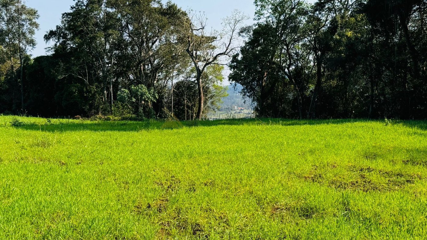 Sítio / Chácara para Venda no bairro Zona Rural em Nova Hartz