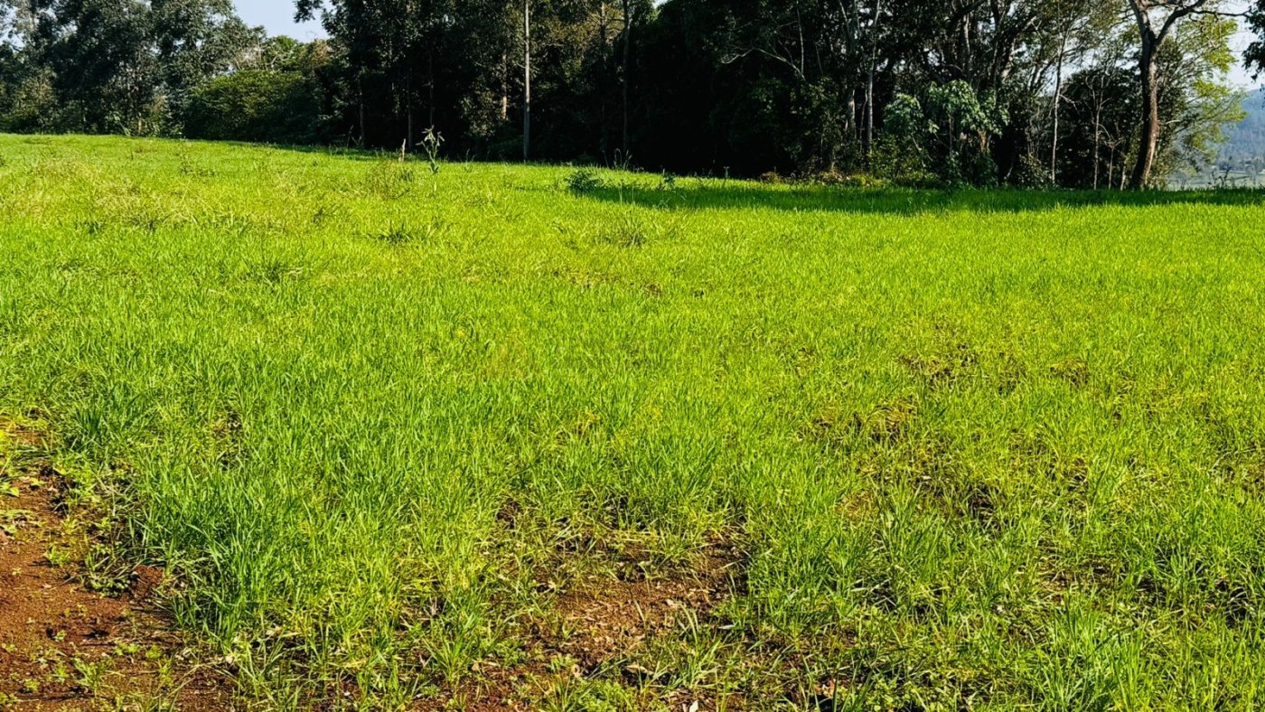 Sítio / Chácara para Venda no bairro Zona Rural em Nova Hartz