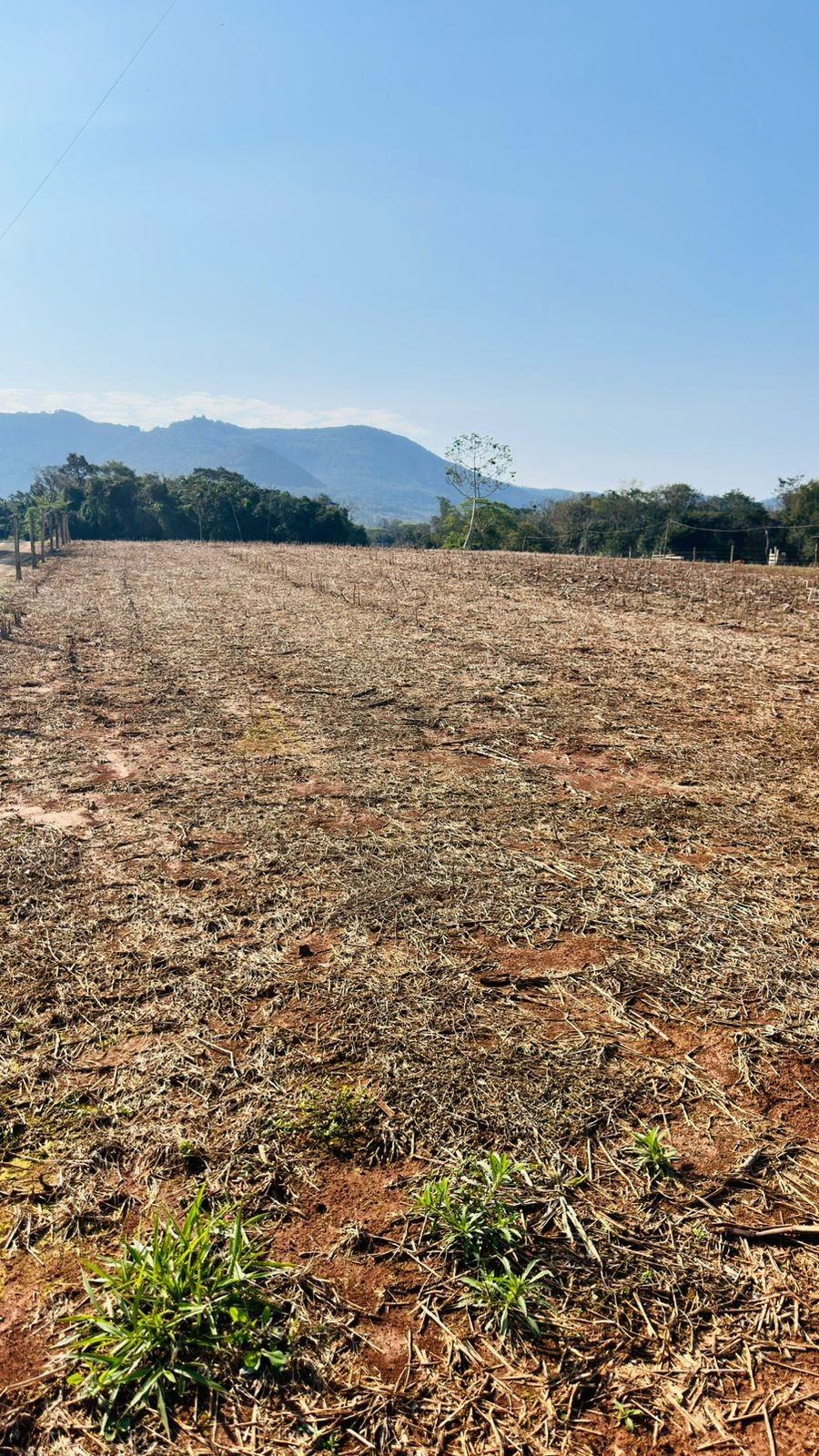 Sítio / Chácara para Venda no bairro Zona Rural em Nova Hartz