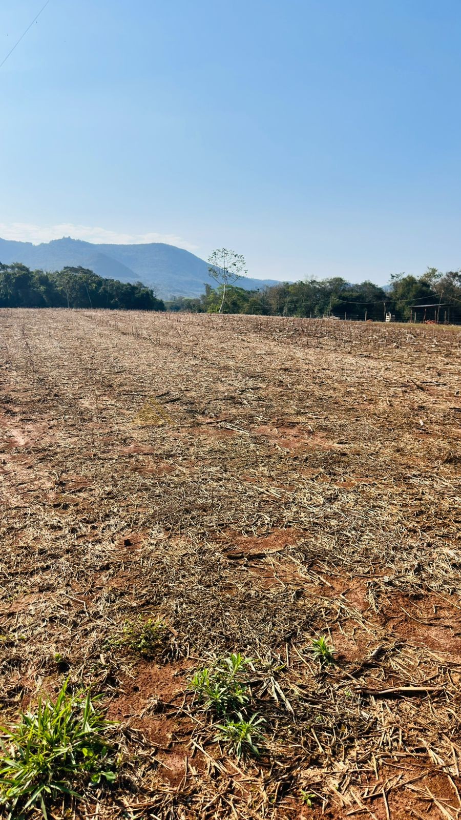 Sítio / Chácara para Venda no bairro Zona Rural em Nova Hartz