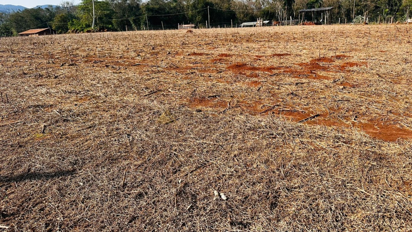 Sítio / Chácara para Venda no bairro Zona Rural em Nova Hartz