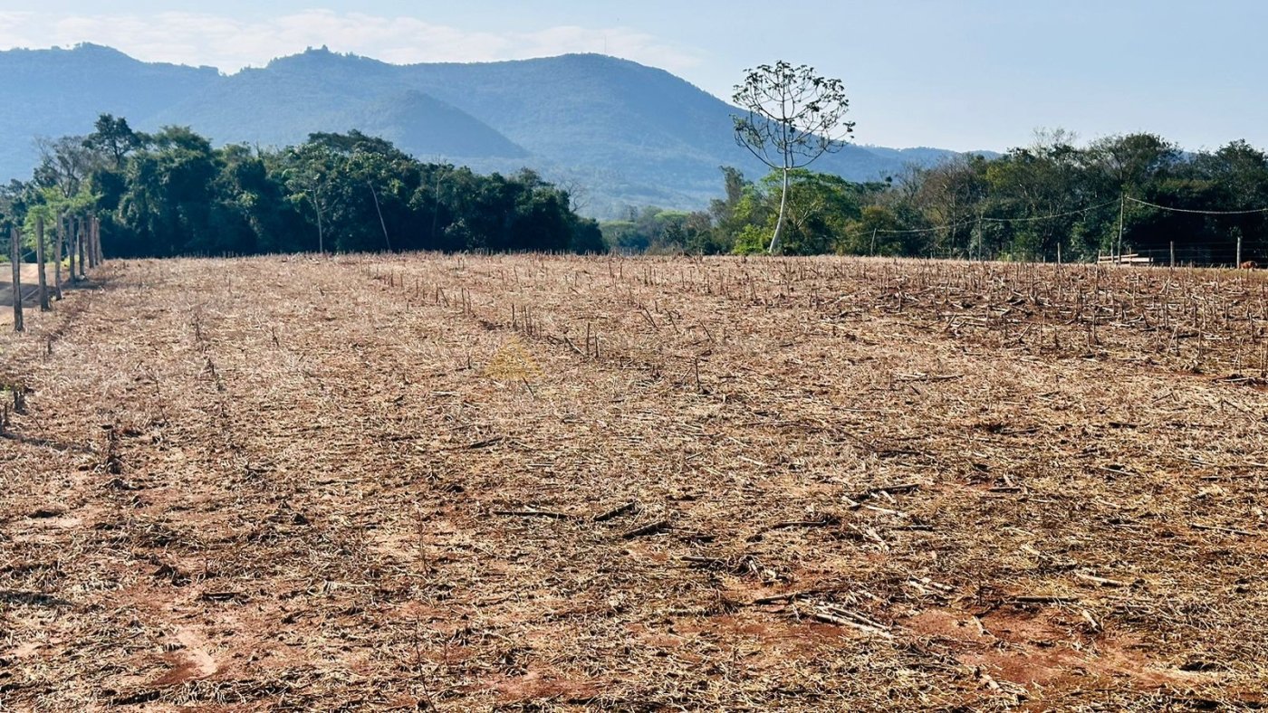 Sítio / Chácara para Venda no bairro Zona Rural em Nova Hartz