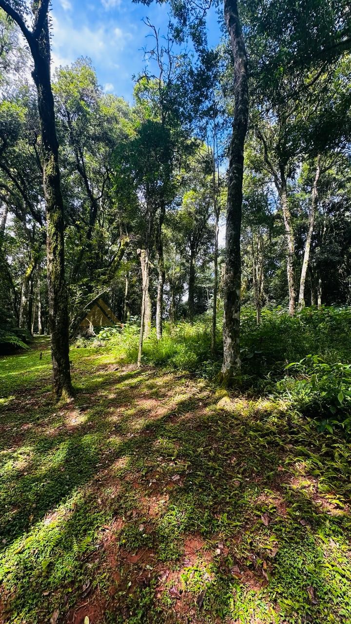 Terreno para Venda no bairro Linha Imperial em Nova Petrópolis