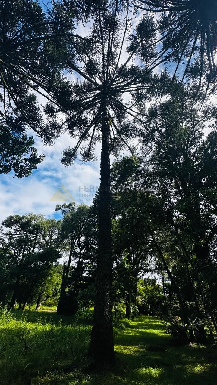 Terreno para Venda no bairro Linha Imperial em Nova Petrópolis