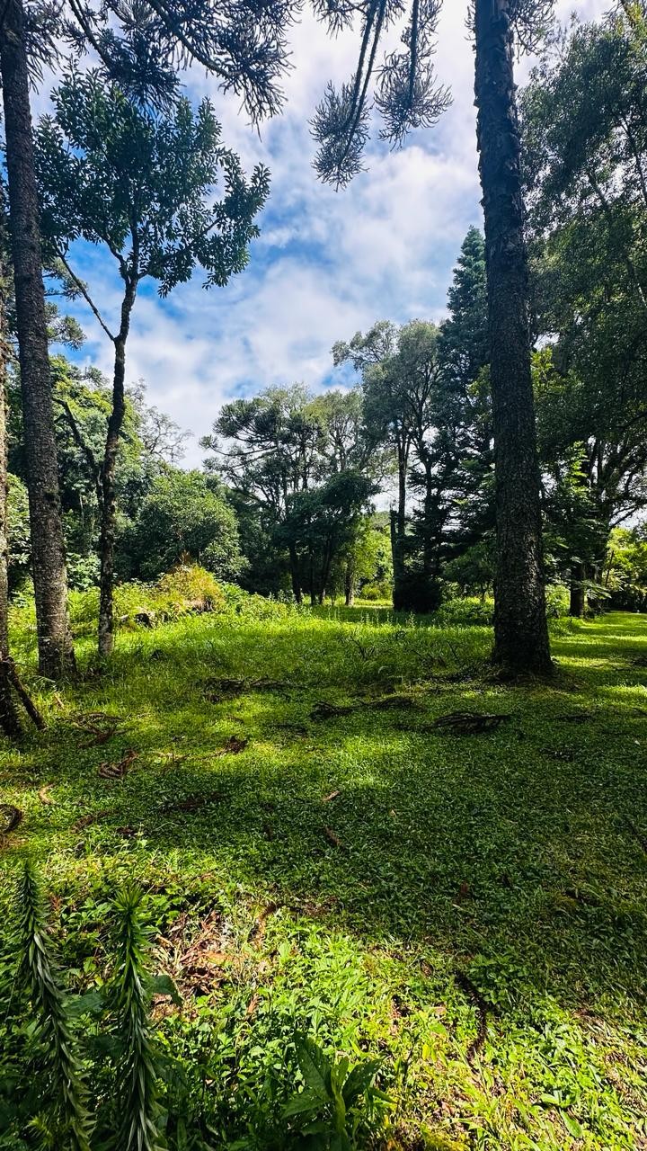 Terreno para Venda no bairro Linha Imperial em Nova Petrópolis