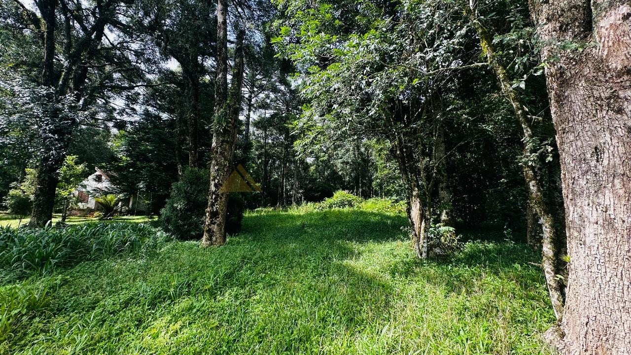 Terreno para Venda no bairro Linha Imperial em Nova Petrópolis