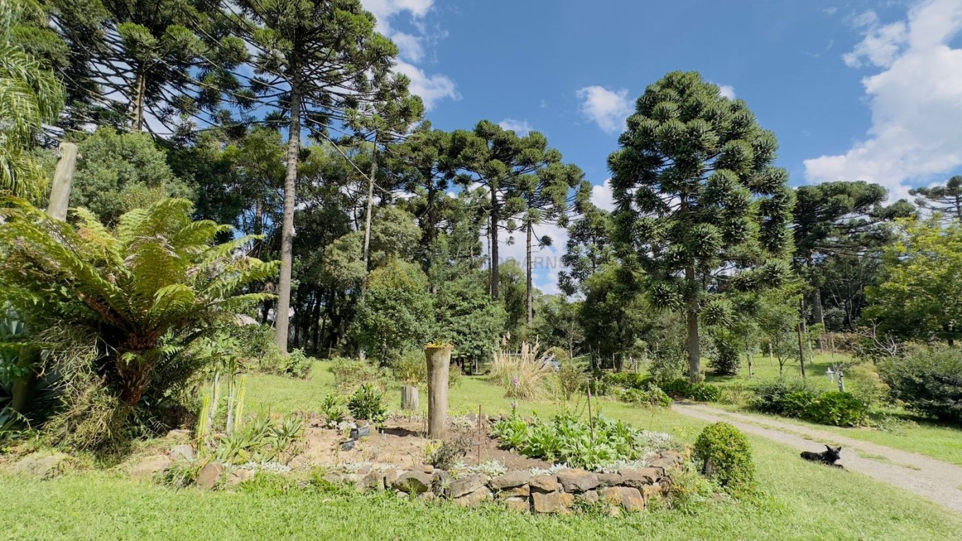 Sítio / Chácara 3 quartos para Venda no bairro Jardim das Fontes em Canela