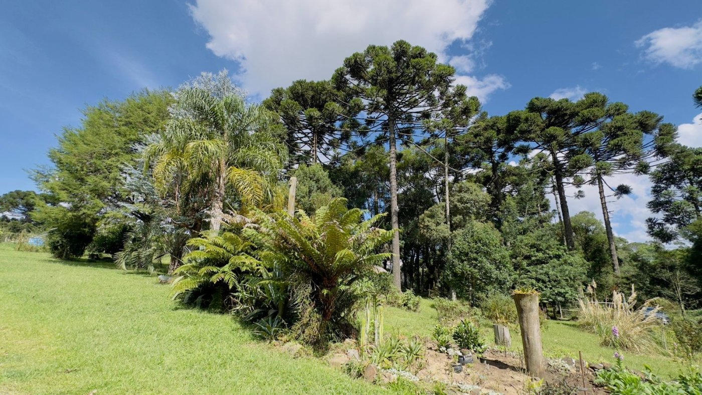 Sítio / Chácara 3 quartos para Venda no bairro Jardim das Fontes em Canela