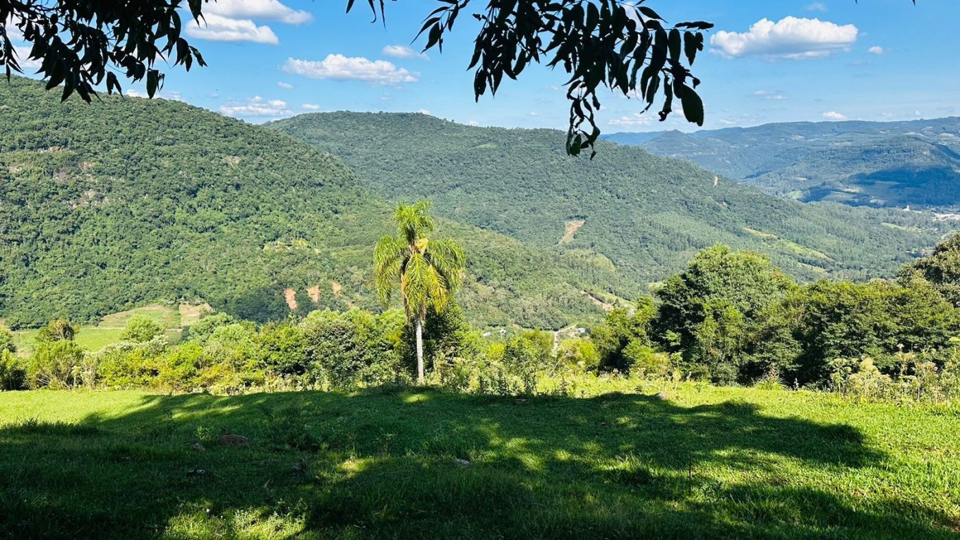 Sítio / Chácara para Venda no bairro Morro Hansen em Picada Café