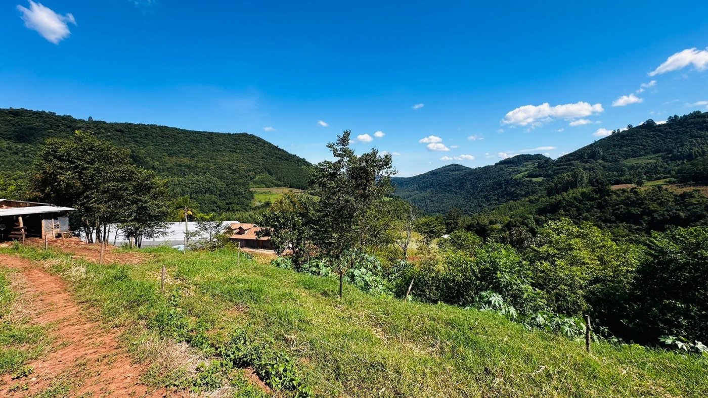 Sítio / Chácara para Venda no bairro São Jacó em Nova Petrópolis
