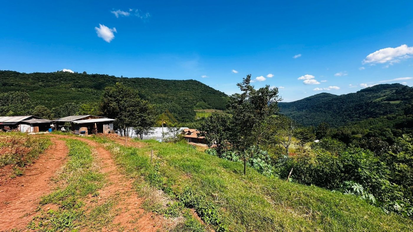 Sítio / Chácara para Venda no bairro São Jacó em Nova Petrópolis