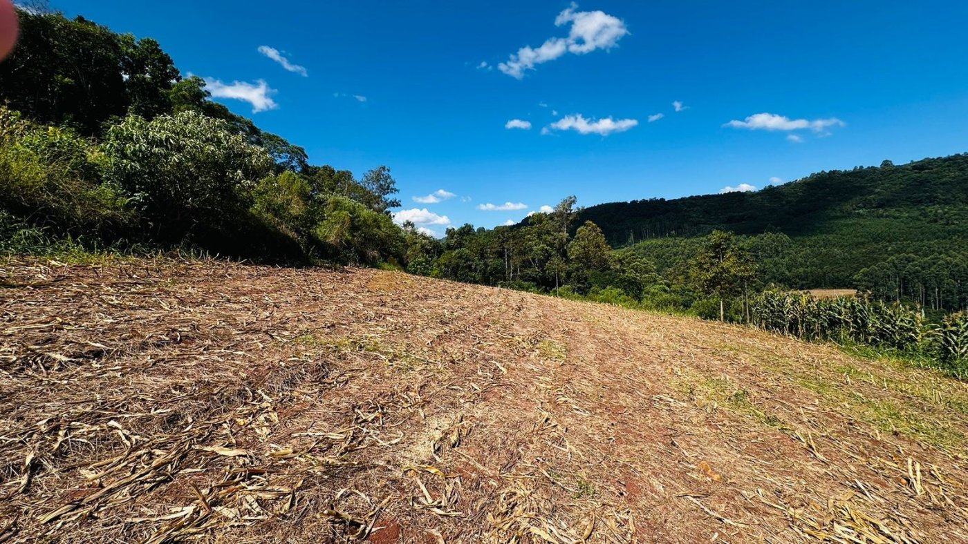 Sítio / Chácara para Venda no bairro São Jacó em Nova Petrópolis