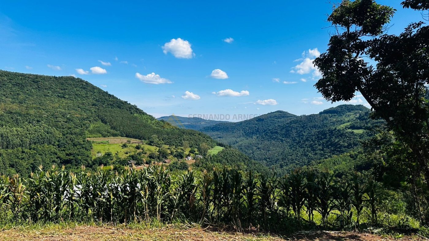 Sítio / Chácara para Venda no bairro São Jacó em Nova Petrópolis
