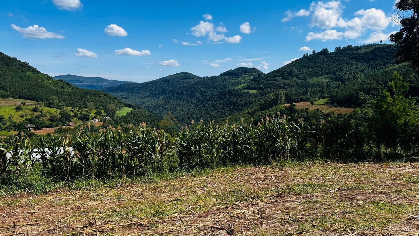 Sítio / Chácara para Venda no bairro São Jacó em Nova Petrópolis