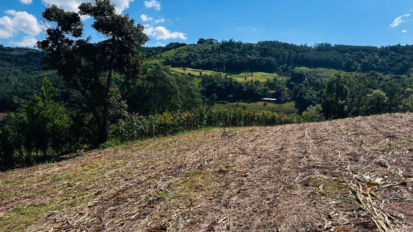 Sítio / Chácara para Venda no bairro São Jacó em Nova Petrópolis